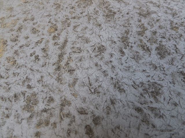 カビが発生しているリシン仕上げの壁